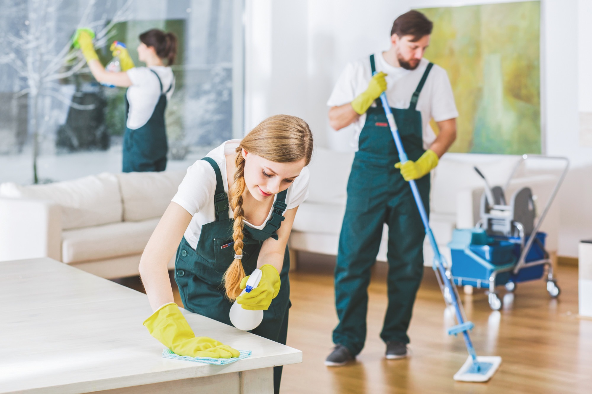 Cleaning services in Tampa Bay